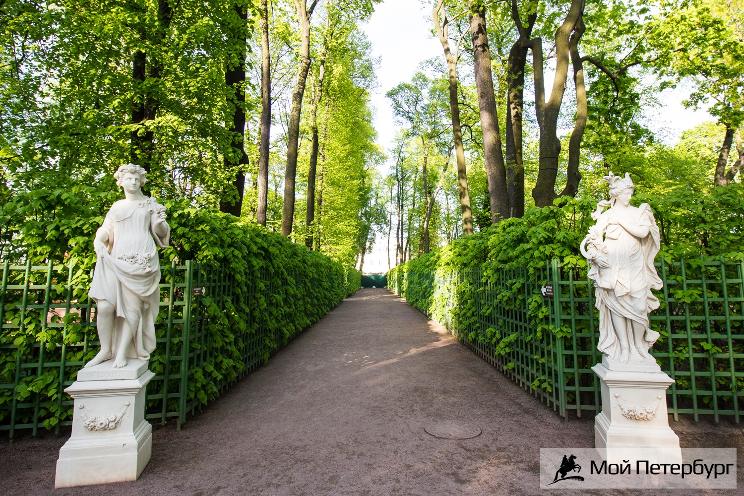 Петербург Летний Сад Фото