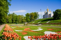 Экскурсия в Петергоф в Санкт-Петербурге